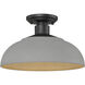 Levitt 1 Light 13.63 inch Natural Black Outdoor Semi-flush in Natural Gray
